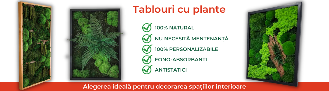 Banner tablouri cu plante