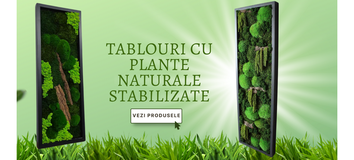 Banner tablouri cu plante